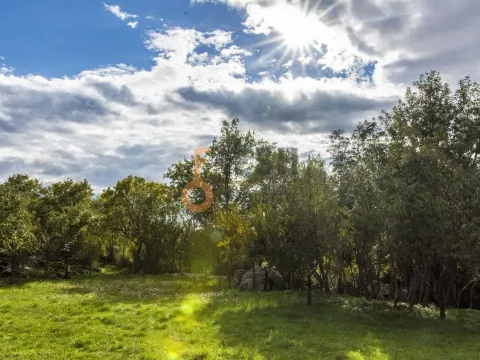 Prodaja, plac, 36246m², Danilovgrad, Crna Gora - image 13