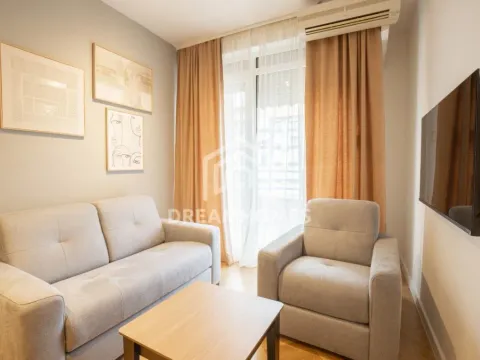 Izdavanje, jednosoban stan, 40m², Kruševac, Podgorica - image 9