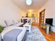 Izdavanje, stan, 45m², Stari Aerodrom, Podgorica - image 13