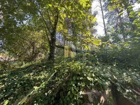 Prodaja, kuća, 71m², Rakovac, Novi Sad Sve Podlokacije - image 10