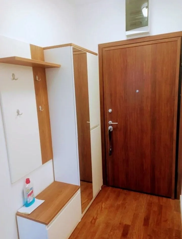 Izdavanje, jednosoban stan, 46m², Stari Aerodrom, Podgorica