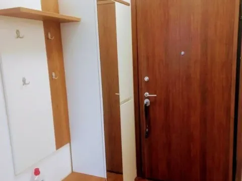 Izdavanje, jednosoban stan, 46m², Stari Aerodrom, Podgorica - image 3