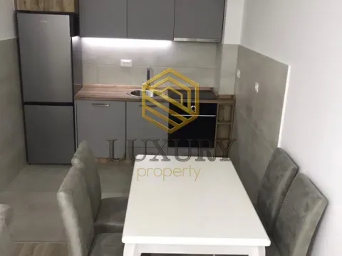 Izdavanje, jednosoban stan, 54m², Zabjelo, Podgorica - image 2