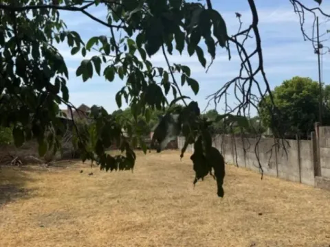 Prodaja, kuća, 144m², Bela Crkva, Srbija - image 10