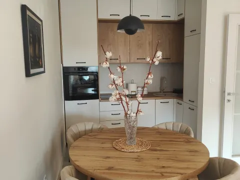 Izdavanje, jednosoban stan, 50m², Central Point, Podgorica - image 2