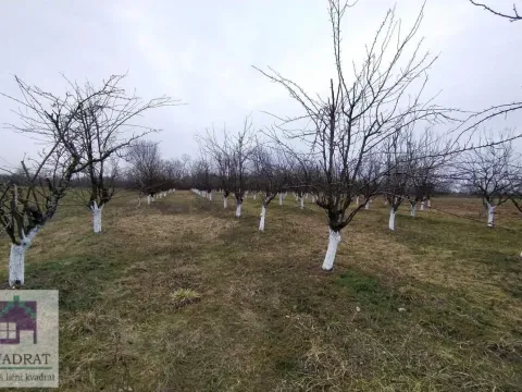 Prodaja, plac, 5800m², Banjani, Ub - image 4