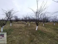 Prodaja, plac, 58m², Banjani, Ub - image 4