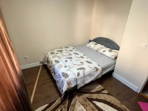 Rent, one bedroom apartment, 44m², Zabjelo, Podgorica - image 10