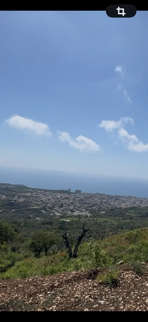 Sale, land lot, 3500m², Pečurice, Bar