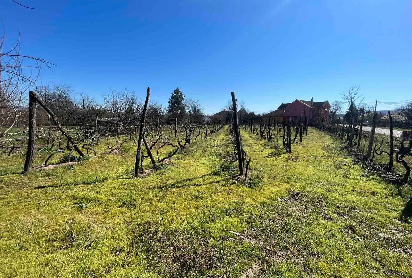 Prodaja, plac, 5000m², Danilovgrad, Crna Gora