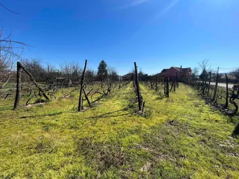 Sale, land lot, 5000m², Danilovgrad, Crna Gora - image 4