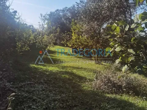Prodaja, kuća, 100m², Bar, Crna Gora - image 2