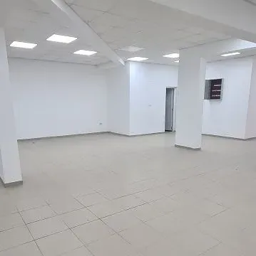 Izdavanje, poslovni prostor, 320m², Dušanovac, Voždovac Sve Podlokacije - image 3