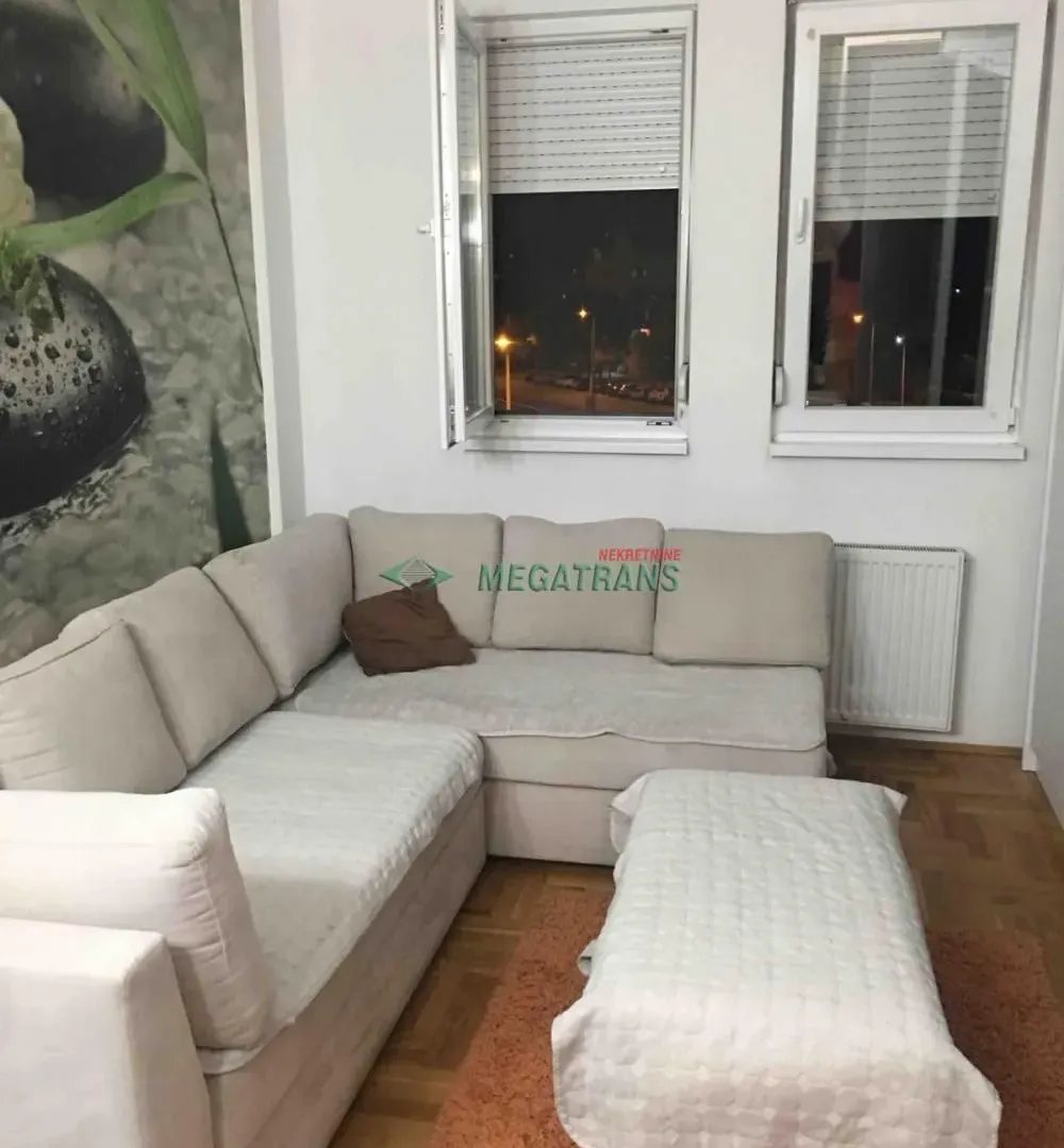 Izdavanje, stan, 25m², Bulevar patrijarha Pavla, Novi Sad Sve Podlokacije