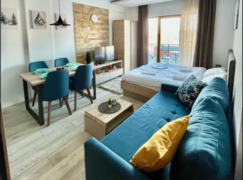 Sale, one bedroom apartment, 29m², Kraljevi Čardaci, Kopaonik - image 2