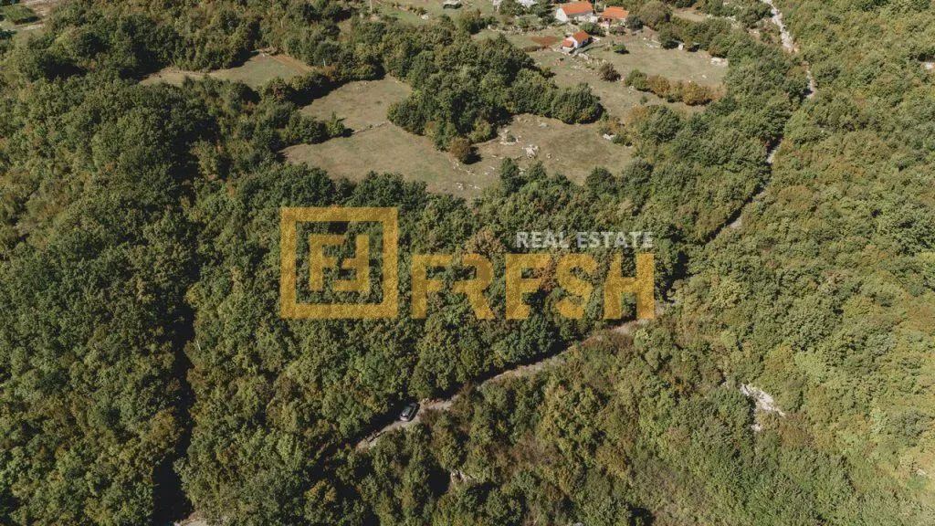 Prodaja, plac, 15000m², Danilovgrad, Crna Gora