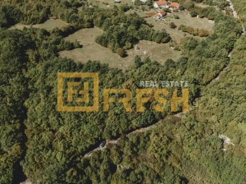 Prodaja, plac, 15000m², Danilovgrad, Crna Gora - image 3