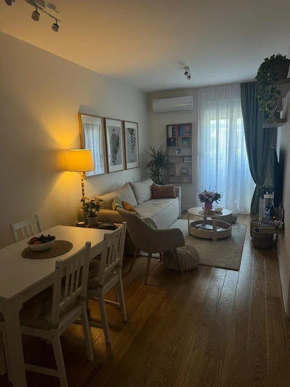 Izdavanje, jednosoban stan, 40m², Central Point, Podgorica