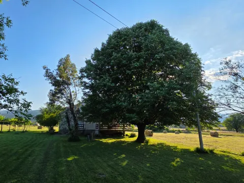 Sale, house, 128m², Ćurilac, Danilovgrad - image 6