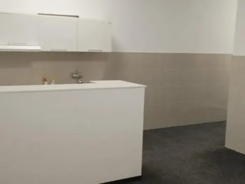 Izdavanje, poslovni prostor, 320m², Novi Beograd Blok 65, Novi Beograd Sve Podlokacije - image 11