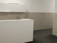 Izdavanje, poslovni prostor, 320m², Novi Beograd Blok 65, Novi Beograd Sve Podlokacije - image 11