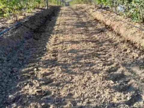 Prodaja, plac, 120000m², Varna, Šabac - image 4