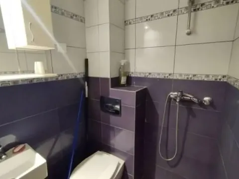 Izdavanje, garsonjera, 25m², Botanička Bašta, Palilula Sve Podlokacije - image 6