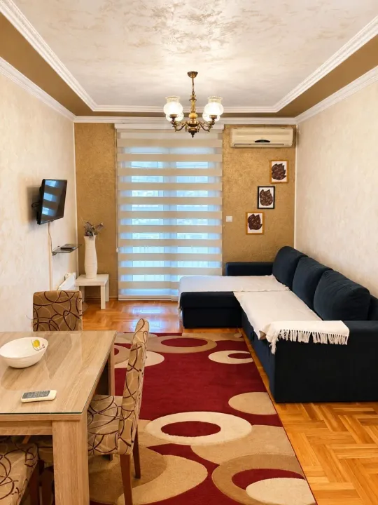 Izdavanje, jednosoban stan, 45m², Stari Aerodrom, Podgorica