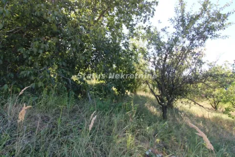 Prodaja, plac, 3276m², Petrovaradin, Novi Sad - image 11