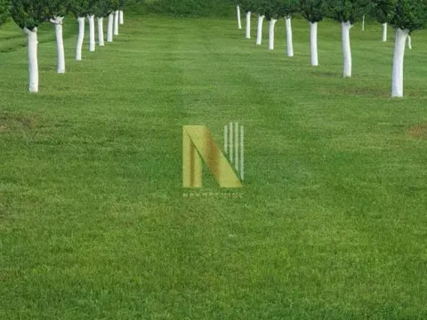 Sale, land lot, 190m², Kikinda, Srbija - image 14