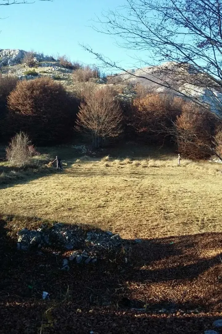 Prodaja, plac, 3002m², Cetinje, Crna Gora