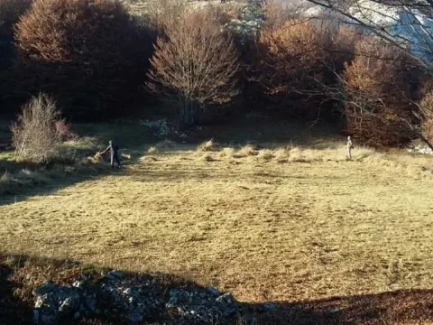 Prodaja, plac, 3002m², Cetinje, Crna Gora - image 3