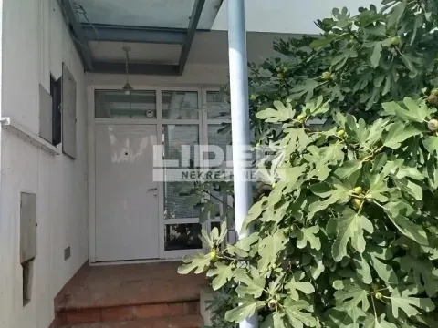 Izdavanje, kuća, 300m², Savski Venac, Beograd - image 12