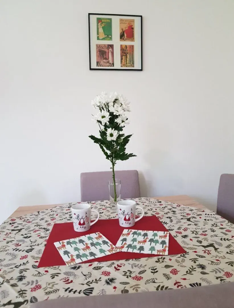 Izdavanje, jednosoban stan, 35m², Centar, Novi Sad