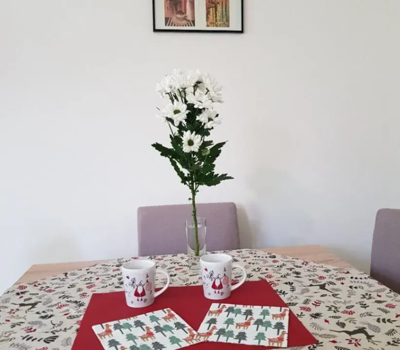 Rent, one bedroom apartment, 35m², Centar, Novi Sad