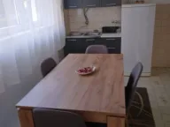 Izdavanje, jednosoban stan, 55m², Momišići, Podgorica - image 5