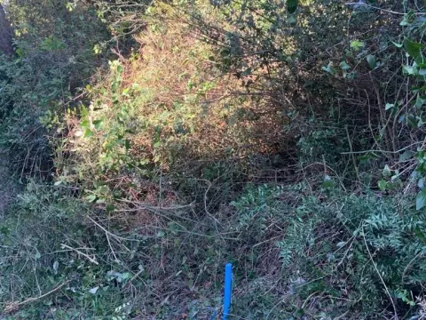 Sale, land lot, 1594m², Utjeha, Bar - image 17