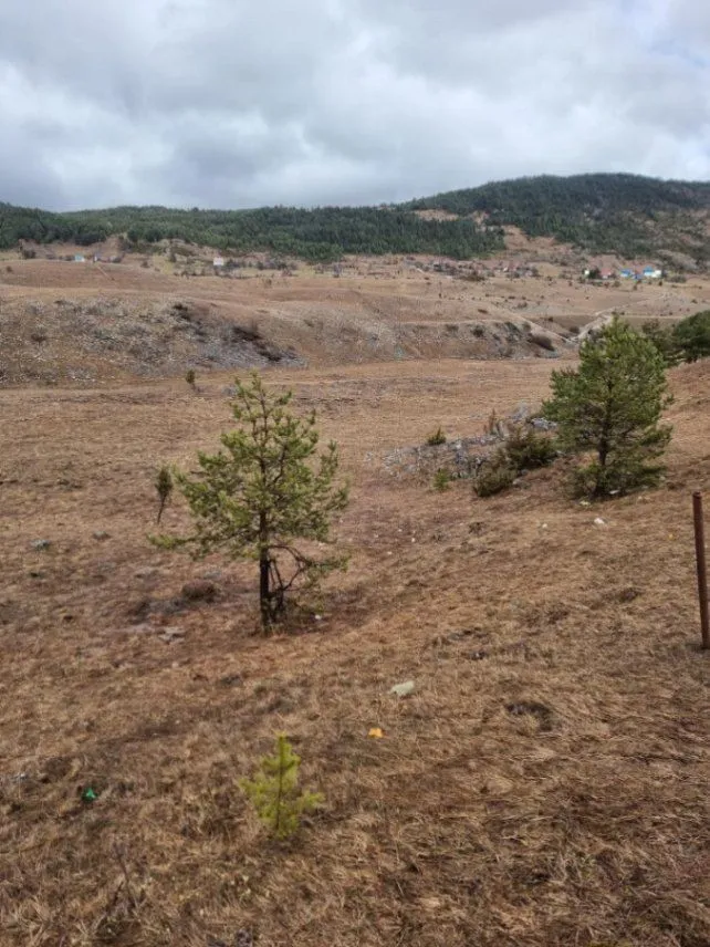 Sale, land lot, 6697m², Borje, Žabljak