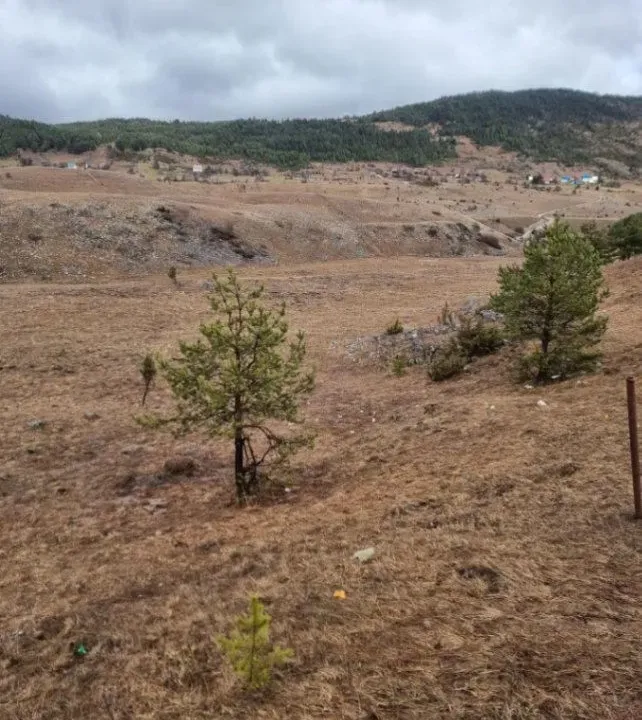 Prodaja, plac, 6697m², Borje, Žabljak