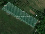 Sale, land lot, 29m², Ledinci, Petrovaradin - image 1