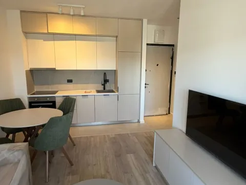 Izdavanje, jednosoban stan, 35m², Zabjelo, Podgorica - image 6