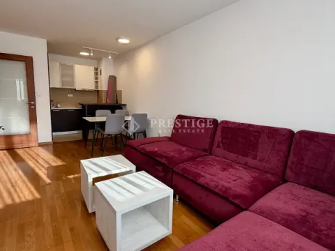 Rent, one bedroom apartment, 43m², Tološka šuma, Podgorica - image 3