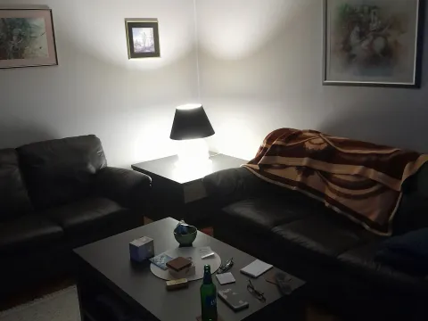 Sale, house, 214m², Veternik, Novi Sad Sve Podlokacije - image 15