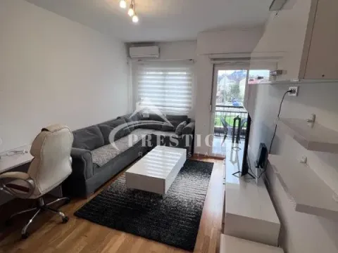 Izdavanje, jednosoban stan, 50m², Zabjelo, Podgorica - image 2