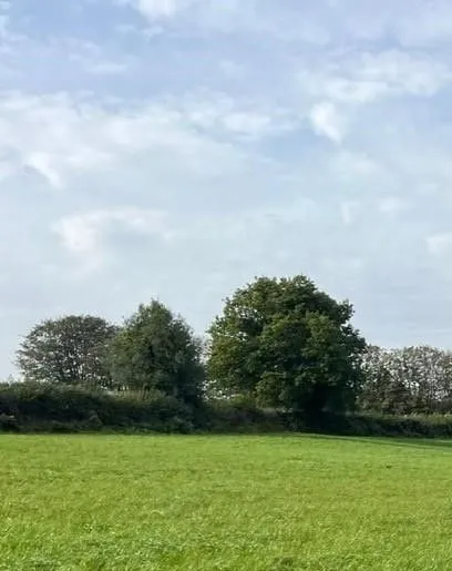 Prodaja, plac, 3025m², Velje Brdo, Podgorica