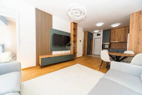 Izdavanje, jednosoban stan, 49m², Stari Aerodrom, Podgorica - image 2
