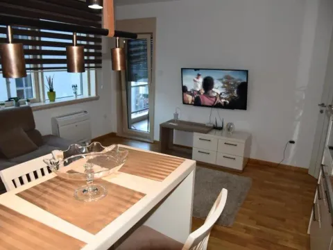 Izdavanje, jednosoban stan, 50m², Budva, Crna Gora - image 3
