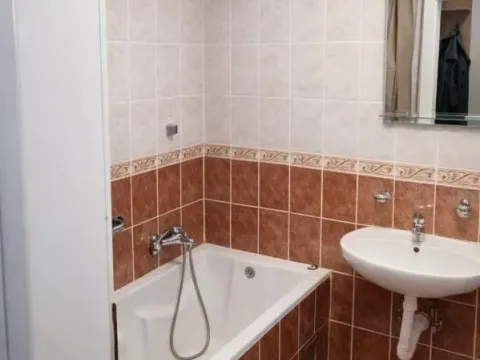 Izdavanje, garsonjera, 32m², Nova Detelinara, Novi Sad Sve Podlokacije - image 10