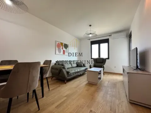 Izdavanje, jednosoban stan, 45m², Podgorica, Crna Gora - image 8