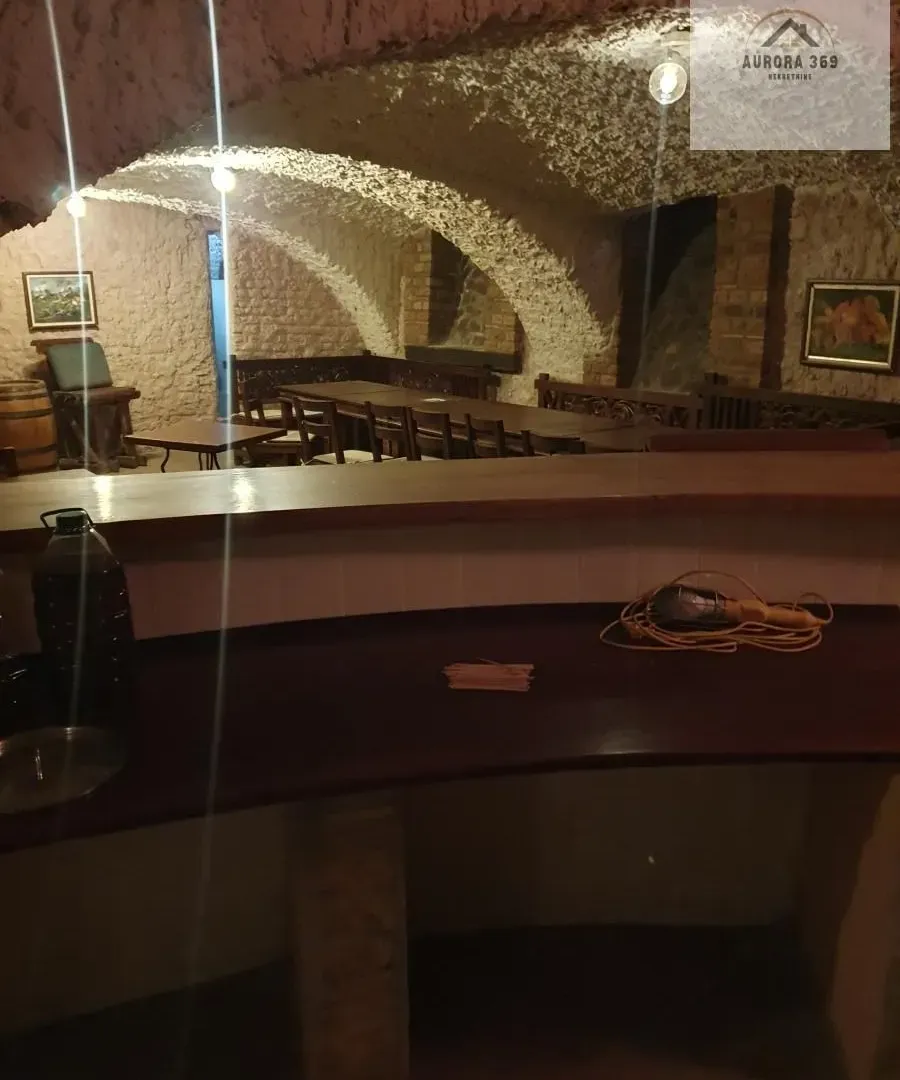 Izdavanje, poslovni prostor, 200m², Irig, Srbija